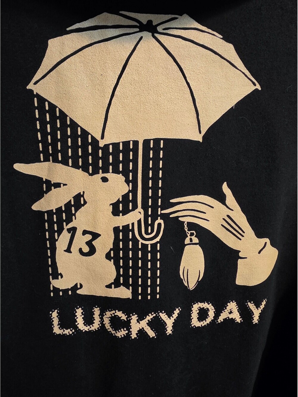 Empyre "Lucky Day" Full-Zip Hoodie – Black, Rabbit's Foot Graphic